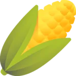 Lớp Ngô
